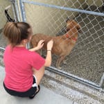 All the dogs in the kennel just loved our visit with them. 150x150 photo All the dogs in the kennel just loved our visit with them. 150x150 Humane Society of Tampa Bay
